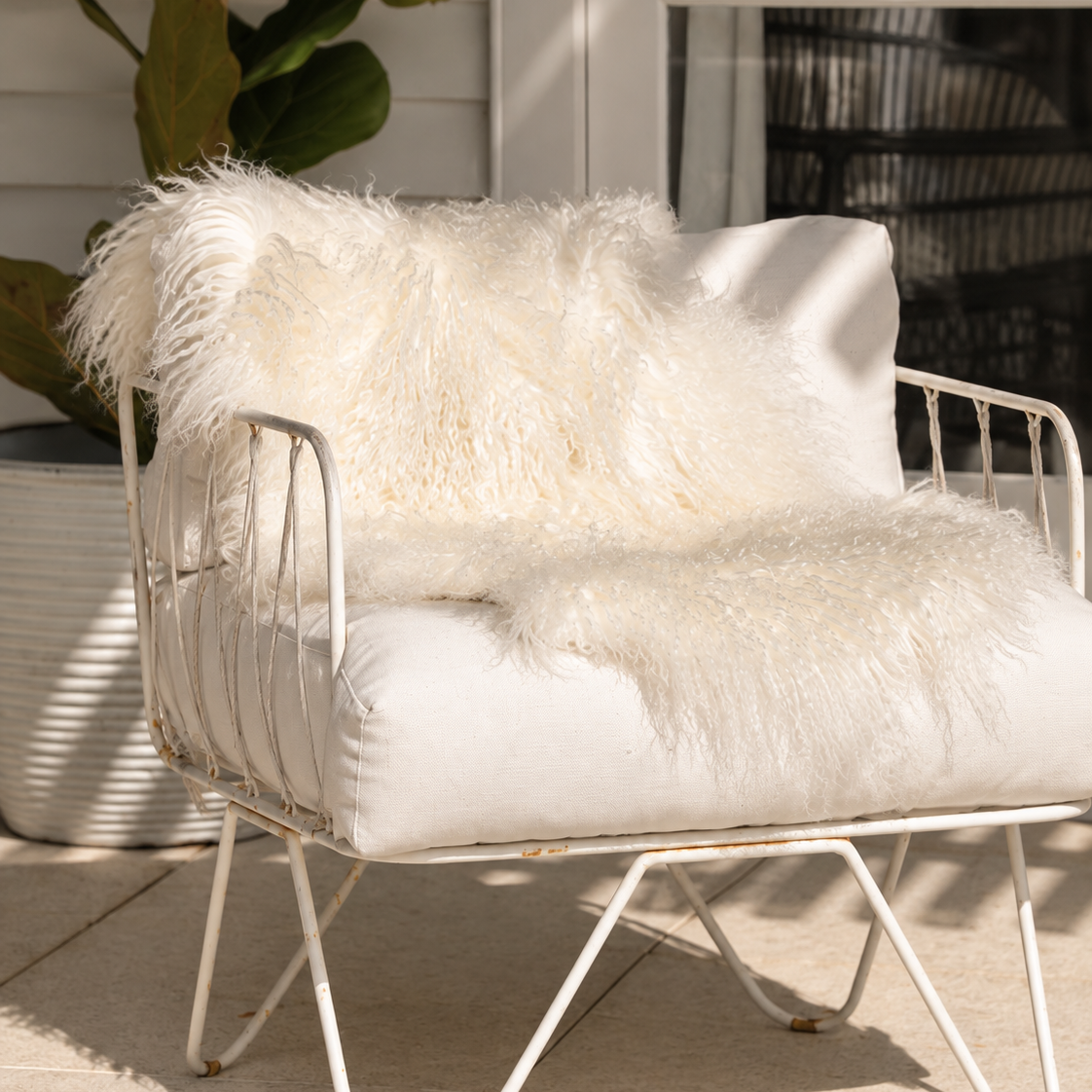 Tibetan Lambskin Rug - Ivory