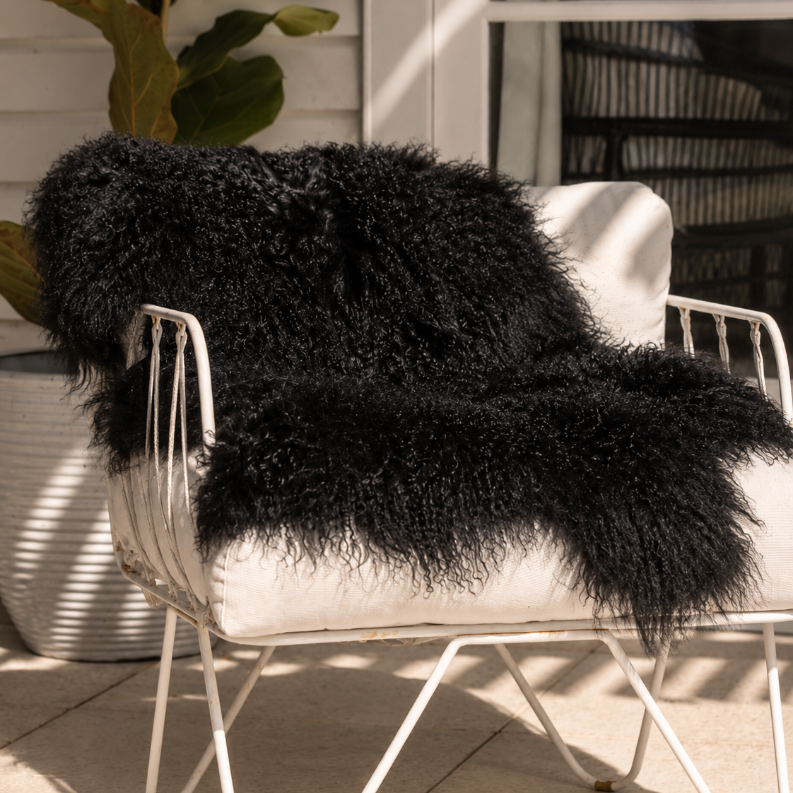 Tibetan Lambskin Rug - Black