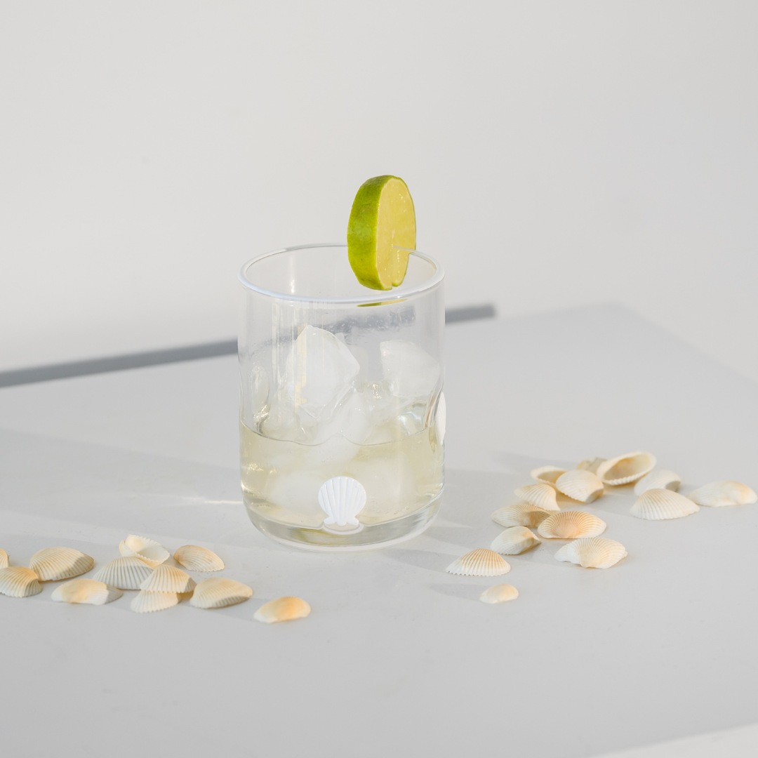 Clam Shell Icon Glass- Set of 4