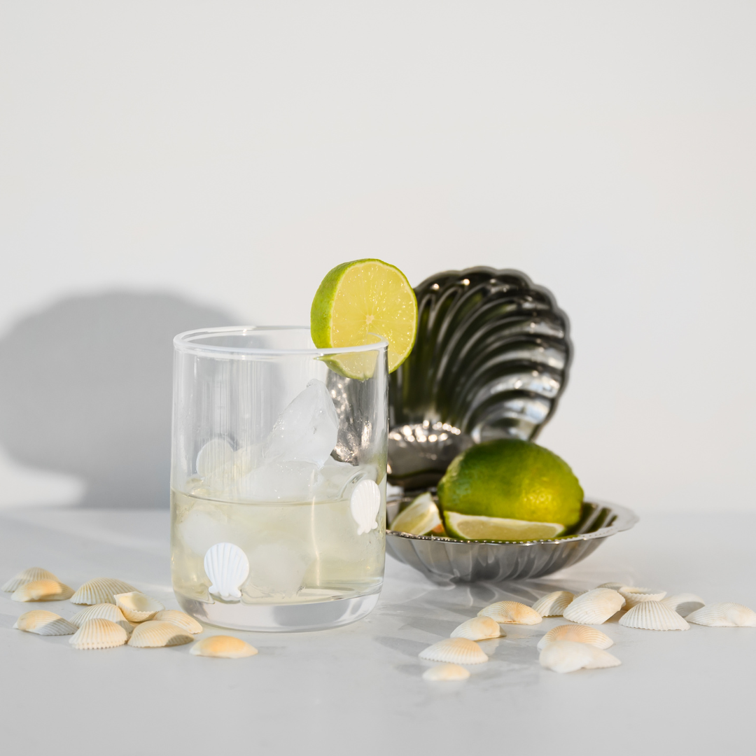 Clam Shell Icon Glass- Set of 4