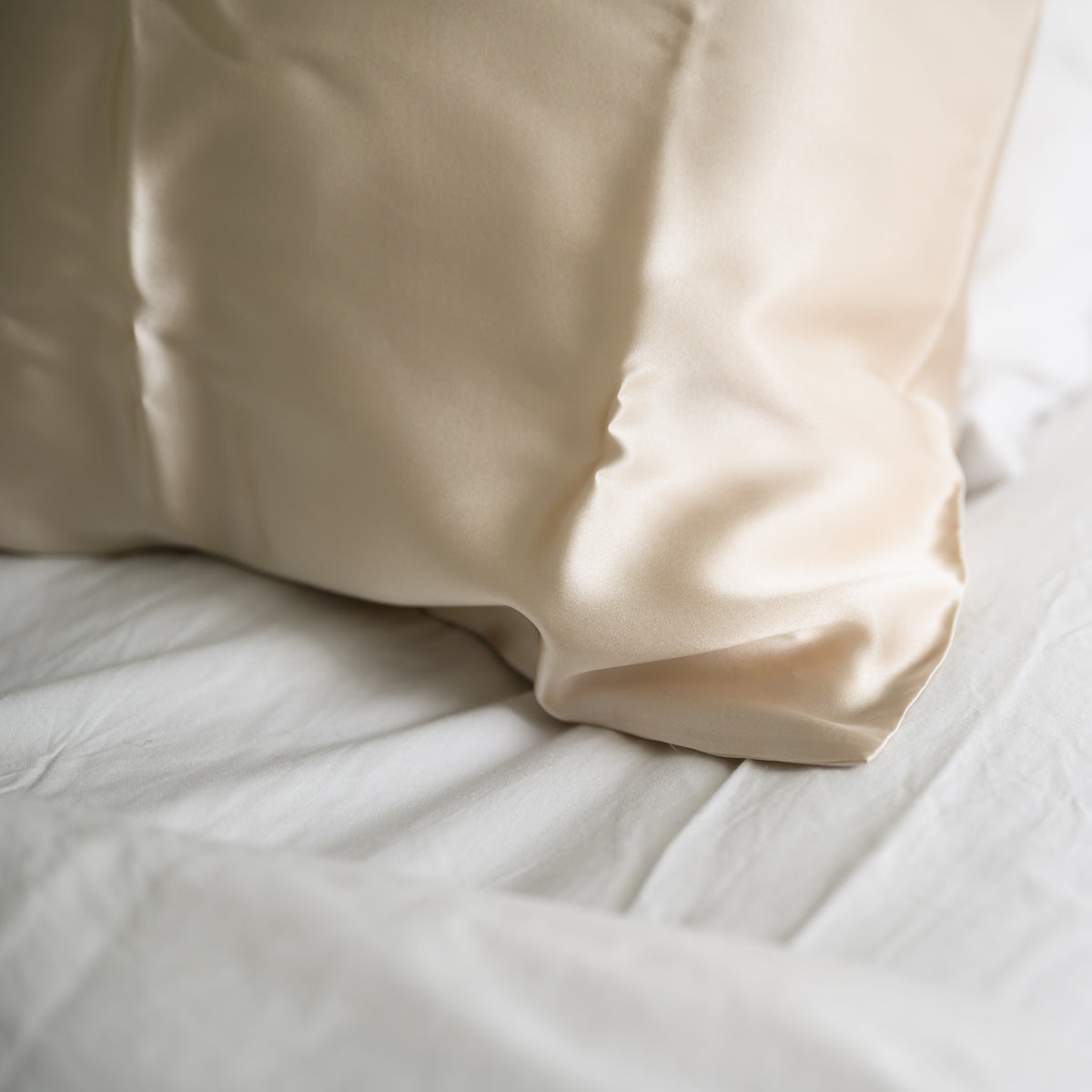 100% Pure Silk Pillowcase - Champagne